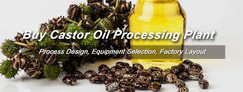 castor oil processing business