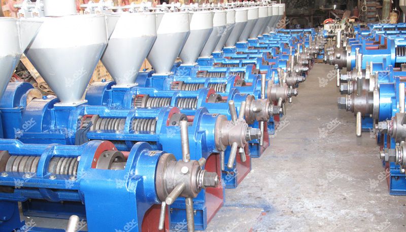 castor oil press machine at factory price