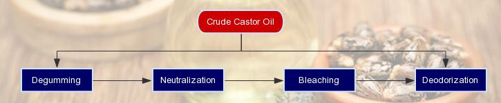 castor oil refining process