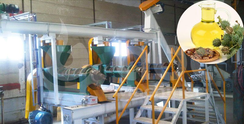 castor oil pressing line at factory price