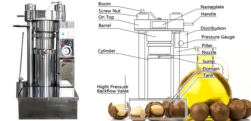 Cold Press Macadamia Oil Equipment