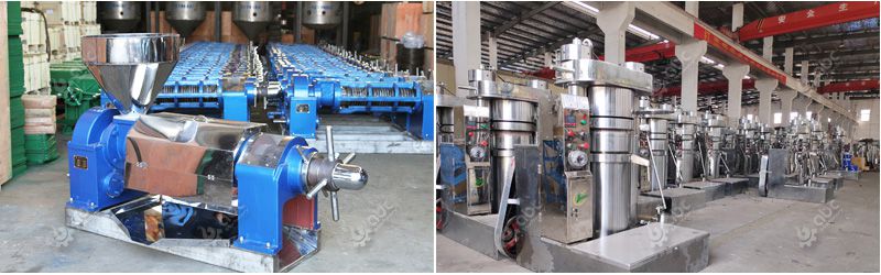 cold press oil machine at factory price