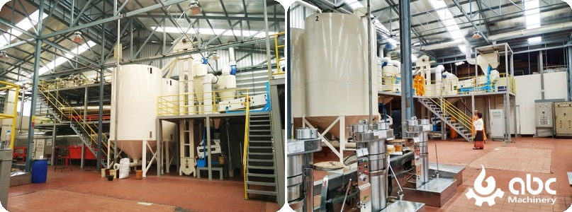 sesame oil cold press machine plant construction successfully in Tailand