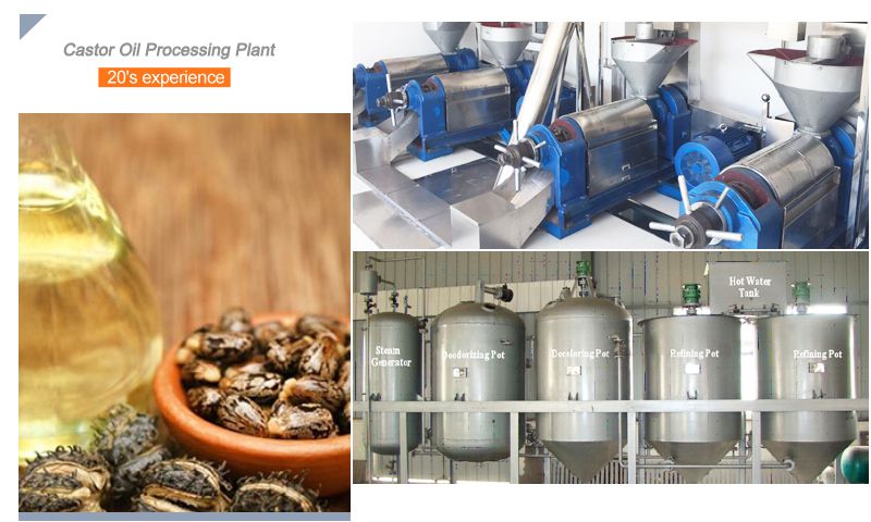 castor oil processing plant for commercial uses
