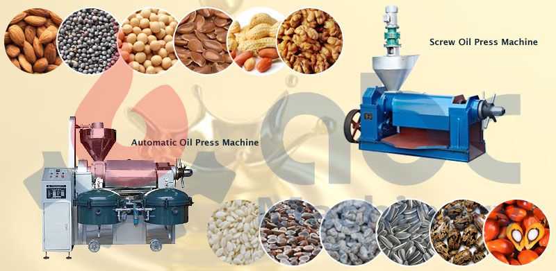 commercial oil press machine features
