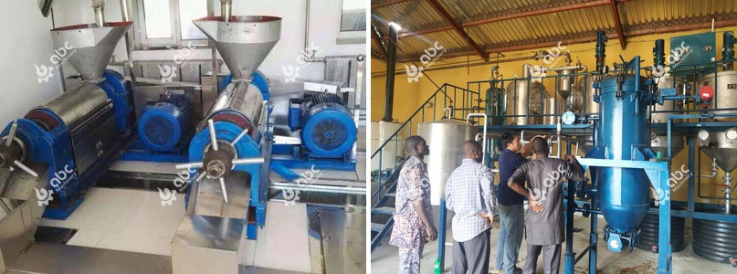 sunflower oil mill plant cost analysis in india