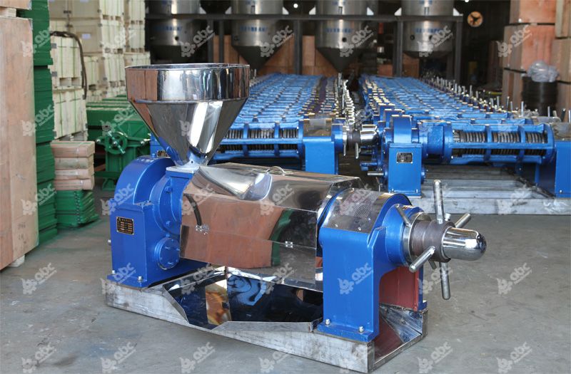 cooking oil press at factory price