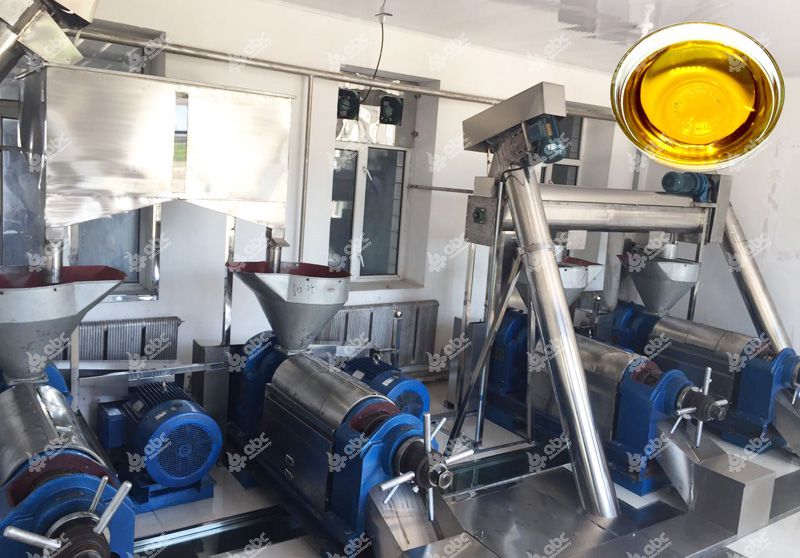cooking oil pressing line