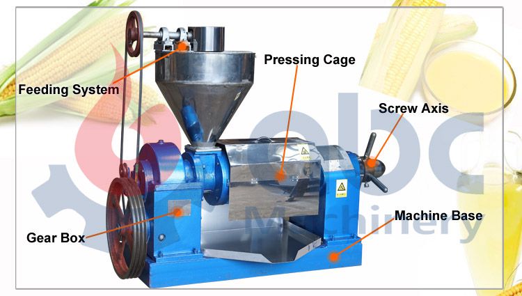 corn germ oil press machine at factory price