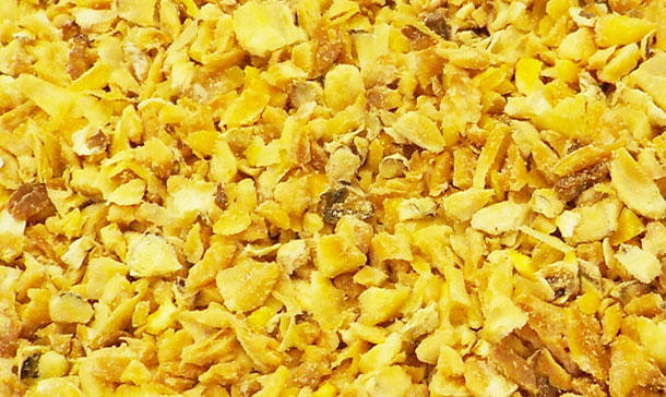 corn oil production