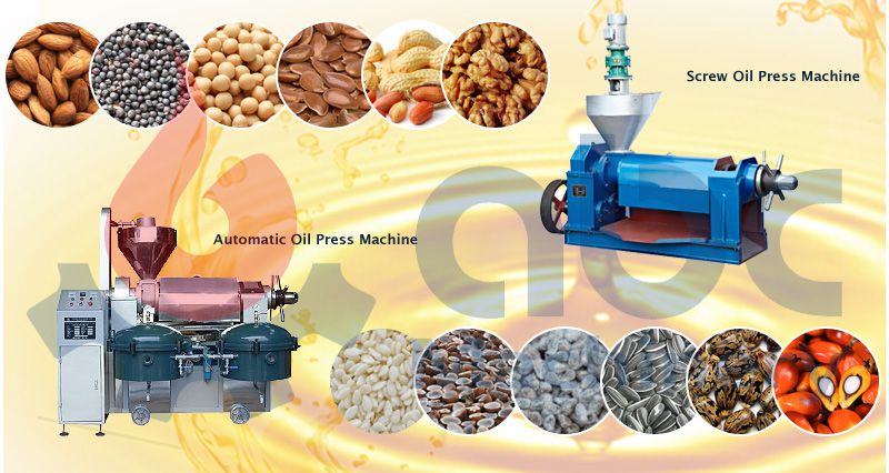 correct operation of screw oil press