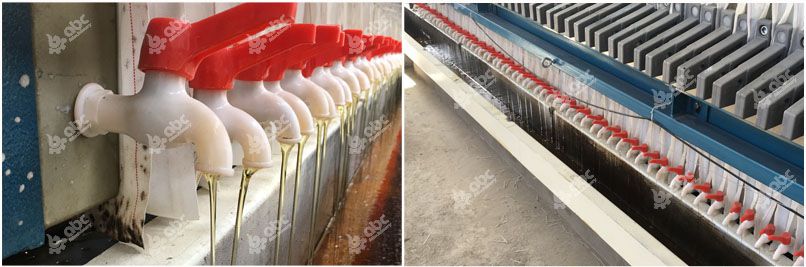 cotton seed oil filtration