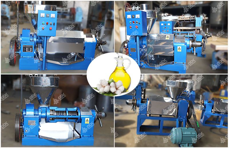 factory price cotton seed oil machine for sales
