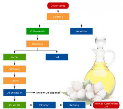 What is the Cottonseed Oil Manufacturing Process by Mechanical Pressing?