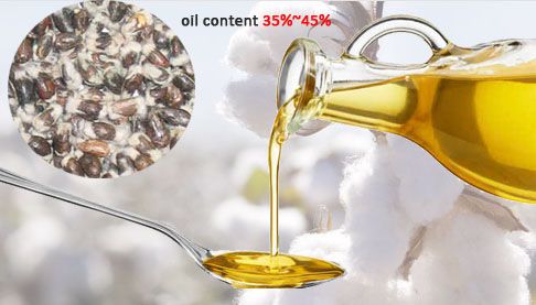 cottonseed oil