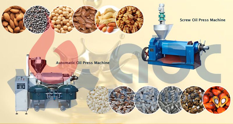 edible oil pressing machine for sales
