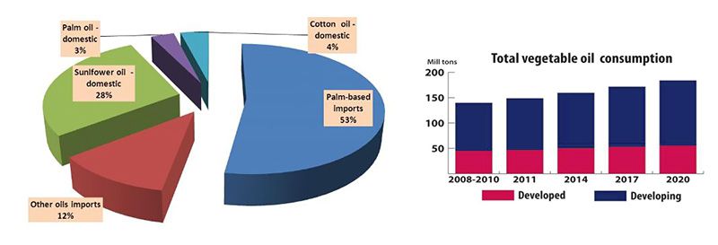 edible oil production market in Tanzania