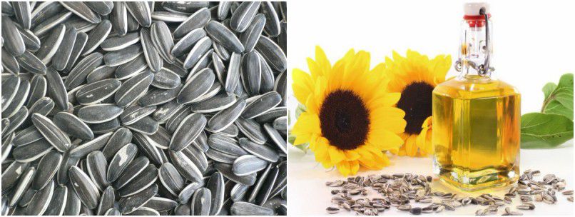edible sunflower seed oil