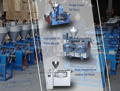 Commercial Oil Press Machine
