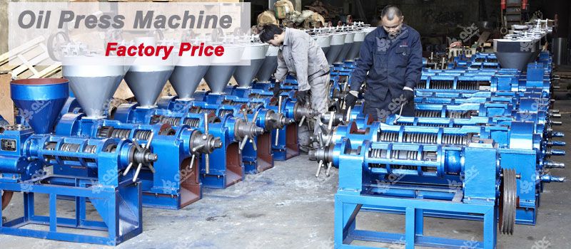 factory supply moringa oil machine