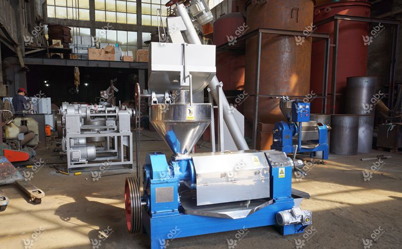 flaxseed cold oil press machine for sales