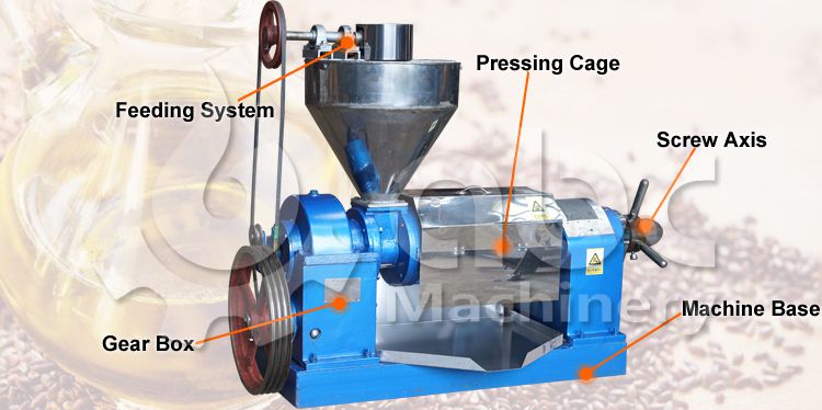 flaxseed oil press machine structure