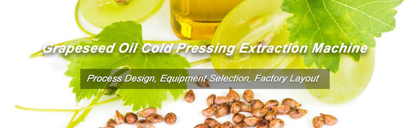 start profitable cold pressed grapeseed oil mill business plan