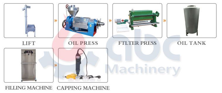 hemp seed oil cold press machine at factory price