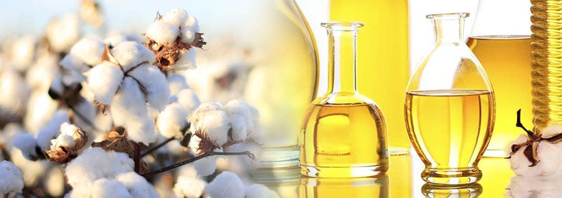 how to make cottonseed oil