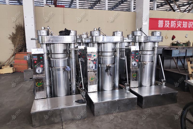 hydraulic oil press for cold oil extraction