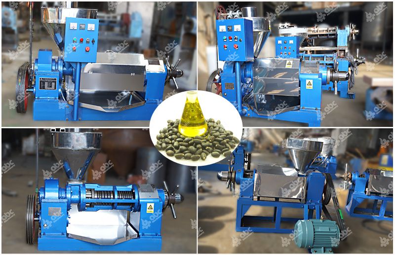 YZS series small jatropha oil press machine for sales