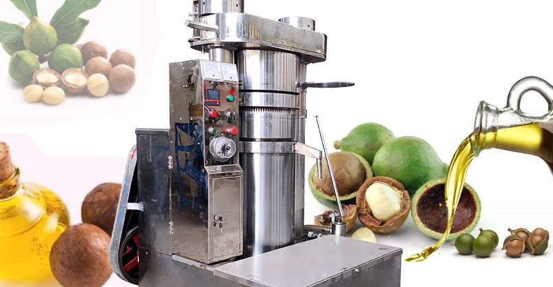 Macadamia Nut Oil Extraction Machine