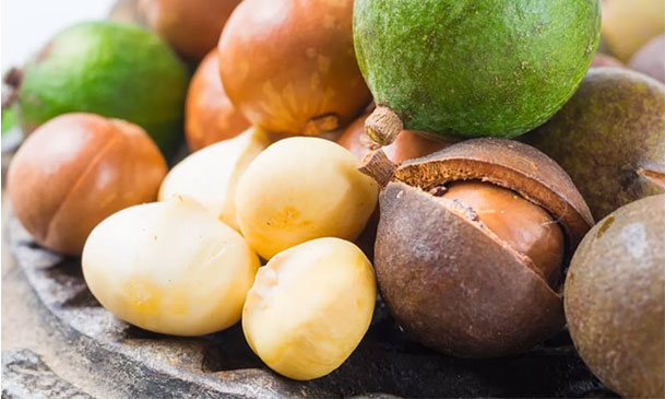 cold pressed macadamia nuts oil extraction machine