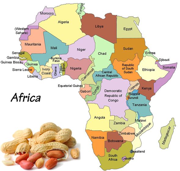 main groundnuts producing contries in Africa