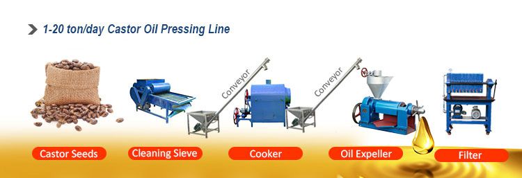 mini castor oil processing plant for sales