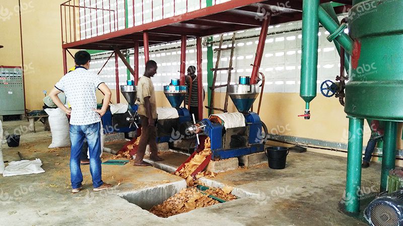 What is palm kernel oil? Making palm kernel oil with low cost