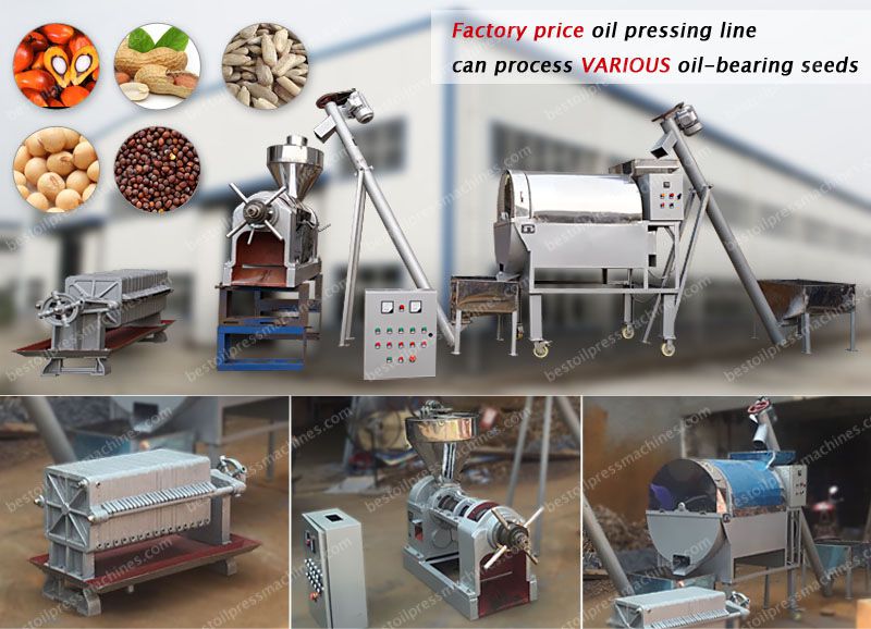 mini soya oil production mill at factory price