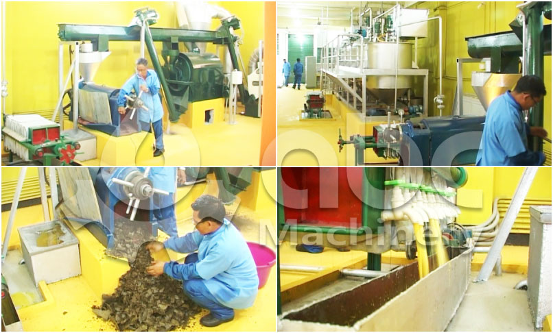soybean oil processing plant project