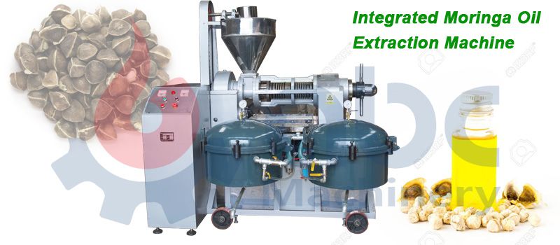 moringa oil extraction machine at factory price