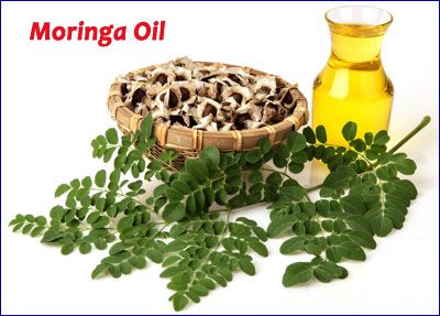 moringa oil compositions