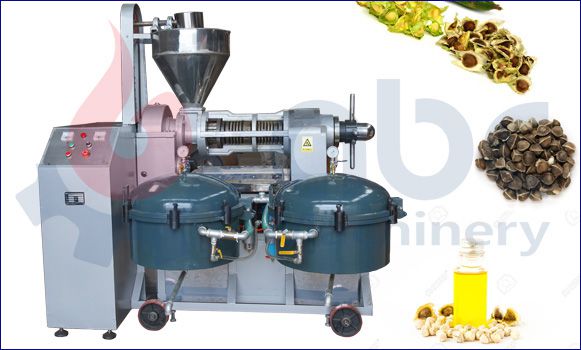 Moringa Oil Extraction Machine