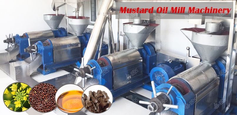 mustard oil mill machinery plant at low cost