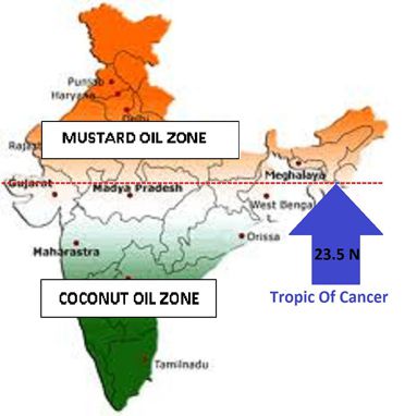 mustard seeds and oil in India
