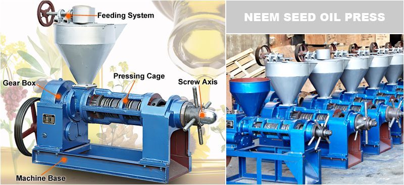neem seed oil press machine for sales at factory price