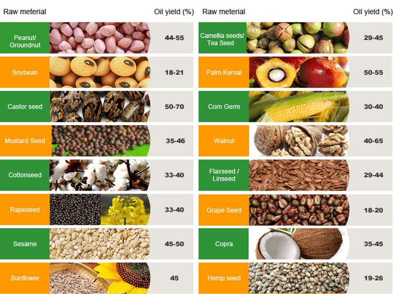 Small Oil Press Can Process Raw Materials