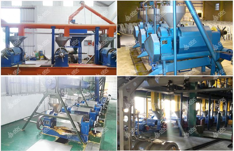 oil pressing plants for sales