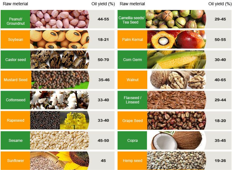 oil yield rate of small coconut oil extraction machine