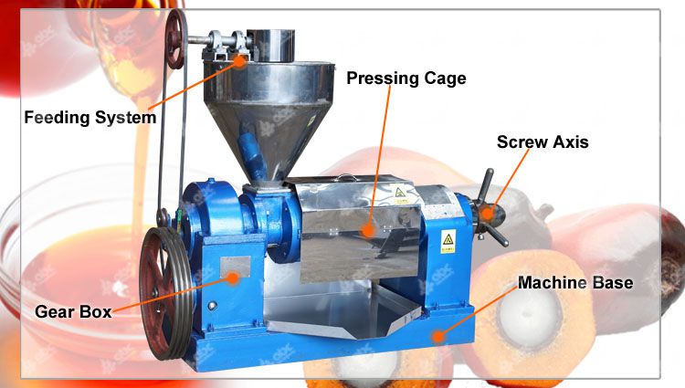 palm kernel oil expeller machine structure