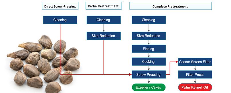 Palm Kernel Oil Extraction Process