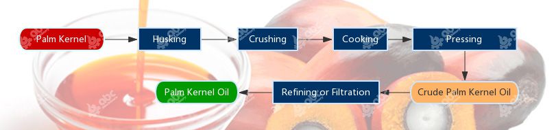 palm kernel oil pressing process with screw oil press